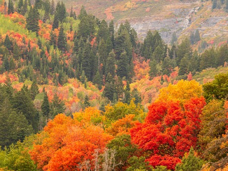 Park City: Cool Fall Activities