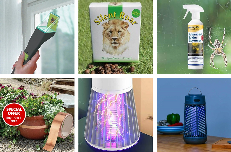 Various pest control tools: handheld bug catcher at window, lion-branded product, spider spray, garden tape, electric bug traps glowing blue.