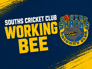 Souths Cricket Club Working Bee