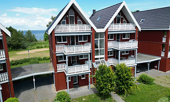 Halle Leizen