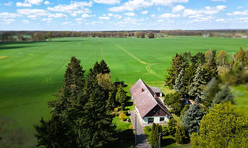 Halle Leizen