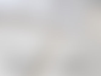 Gallery nest「トリップ・フォー・アーカイバル・リサーチ #03」