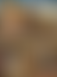 Interactive storybook _ Animal farm 8