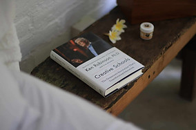 'Creative schools' by Ken Robinson