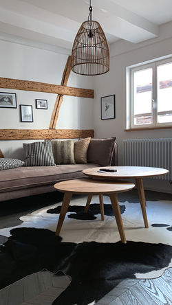 Wohnzimmer - Ferienwohnung