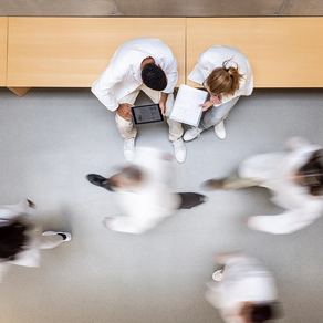 ‘These are not alternative careers’: More neuroscience Ph.D. programs start to facilitate industry internships
