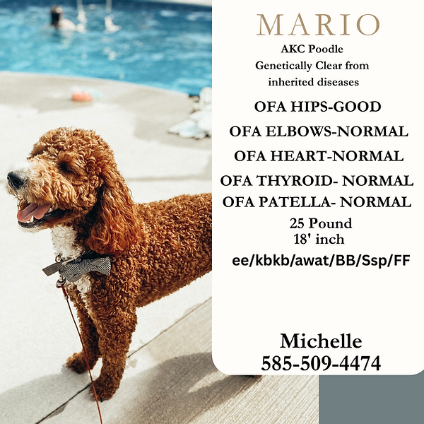 solo travel checklist-5.png