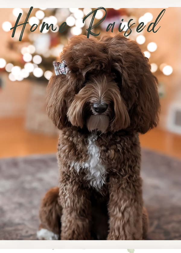 Wedding Flower Invitation Card -10.png