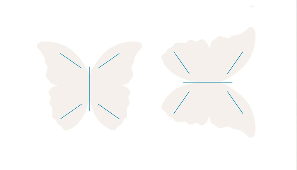 butterfly-drawing-02.jpg