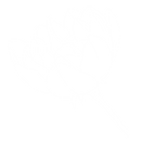 alb_flor_1_by_elanahir.png