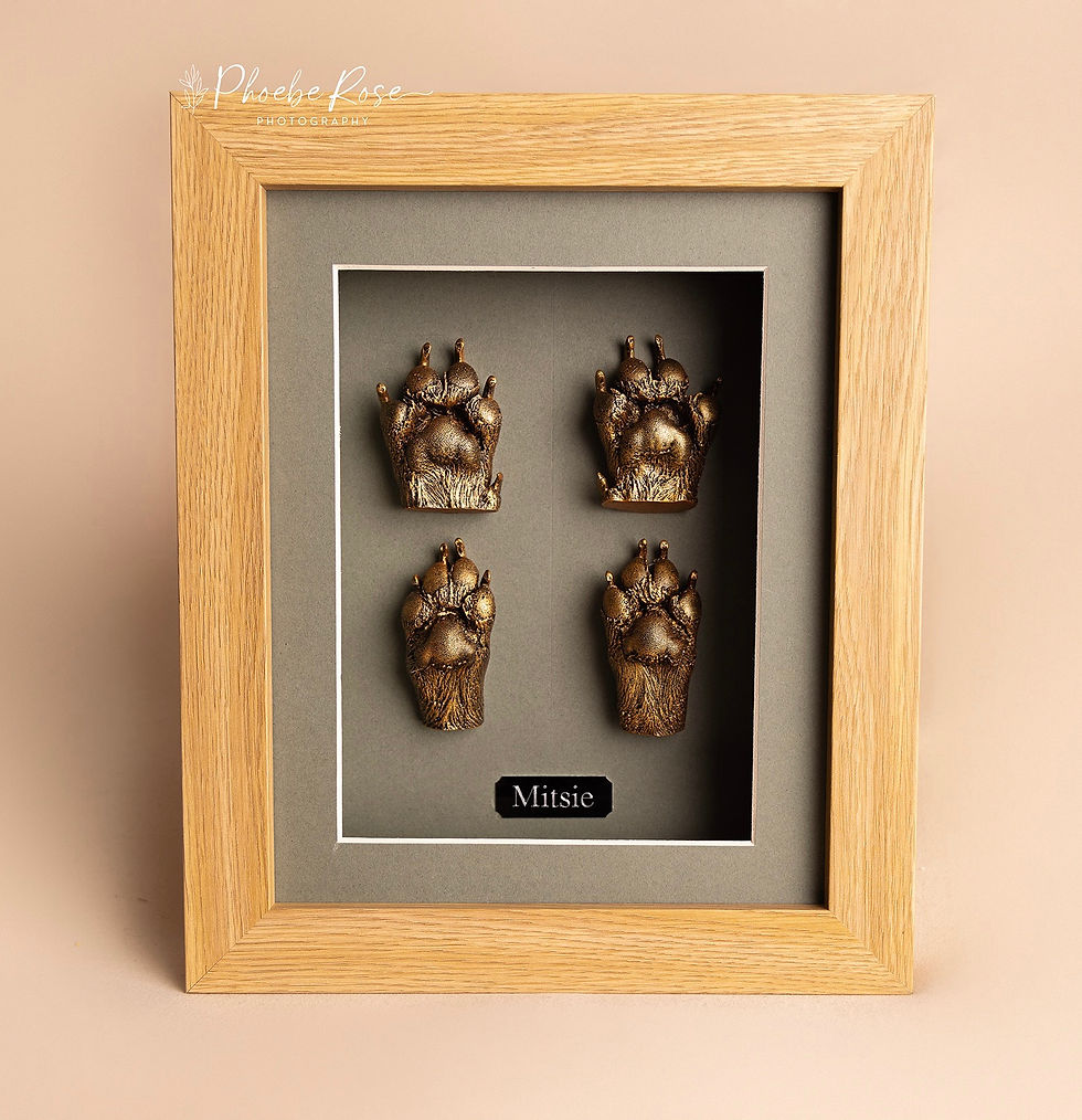 Thumbnail: Pet castings 