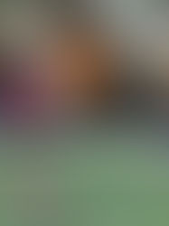 RESIDENTIAL STRUCTURE FIRE