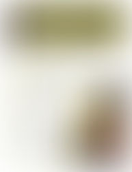 BUCKLE UP FOR SAFETY