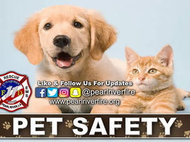 PET SAFETY
