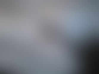 NIGHT OUT / TRUNK OR TREAT