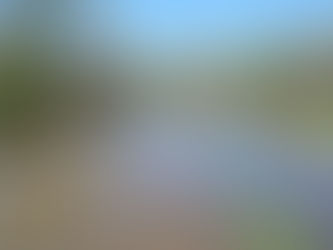 PEARL RIVER FLOOD 2016