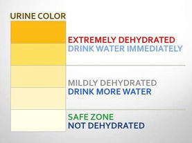 ARE YOU HYDRATED?