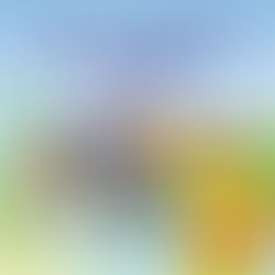 FIRE PREVENTION WEEK