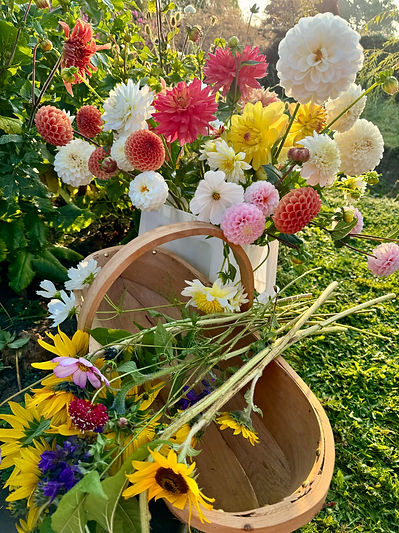 seasonal cut flowers