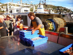 Roses ARDESCA S.O. 0035.JPG