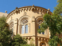 Roses ARDESCA S.O. 0013.JPG