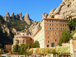 Roses ARDESCA S.O. 0011.JPG