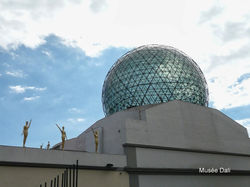 Roses ARDESCA S.O. 0002.JPG