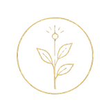 Design ohne Titel (5).png