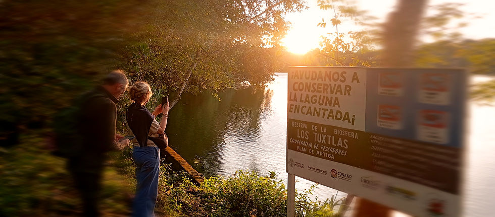 es una foto de un espacio natural conocido como "Laguna Encantada" Reserva de la biosfera de los Tuxtlas; en ella están dos visitantes observando y tomando imágen del espacio