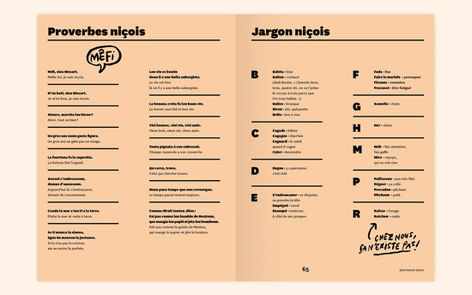 nicois_defil_7_web.jpeg