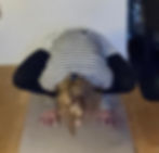 Lifting yourself off the ground requires the interplay of your whole body (all layers), mind, and breath.
