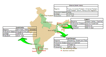 The Tea Regions of India with Himachal Pradesh as the most northen one.