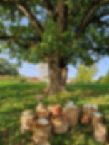 At Långbro Gård you can choose your favourite spot, outside by the huge oak or inside!
