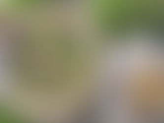 A very high-quality, special reserve white tea from Arunachal Pradesh