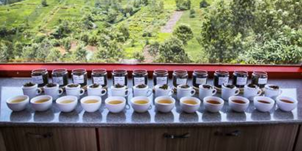 ITA Certified Tea Sommelier Training Course, Level I
