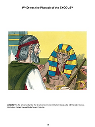 MB5 (2).png