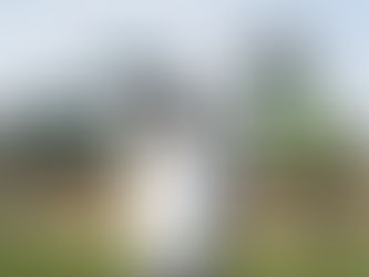 AOTW #4: Lucky Boys 'CIRCA (HOSTED BY MR. STEEL CITY)'