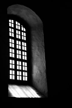 IMG_7477