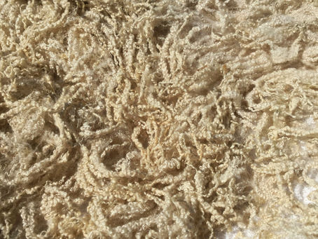 How to make a sheep fleece throw