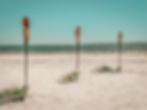 Beach wedding elopement package