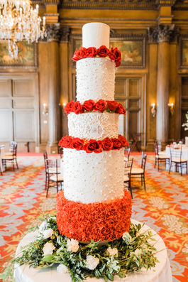 Tasha Rose Photography