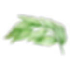 サロンドミカ