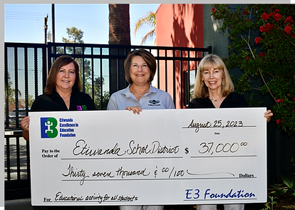 E3 Assembly donation.png