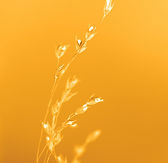 Gérer son stress. Se recentrer. Revenir au calme. Prendre du temps pour soi