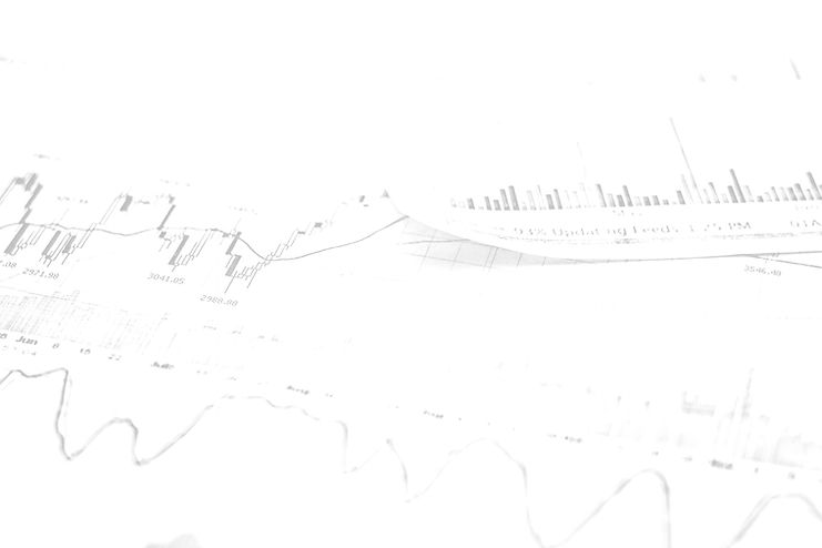 Financial Data Charts_edited_edited.jpg