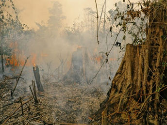 Pará lidera ranking de estados que mais cancelou cadastros irregulares em terras indígenas