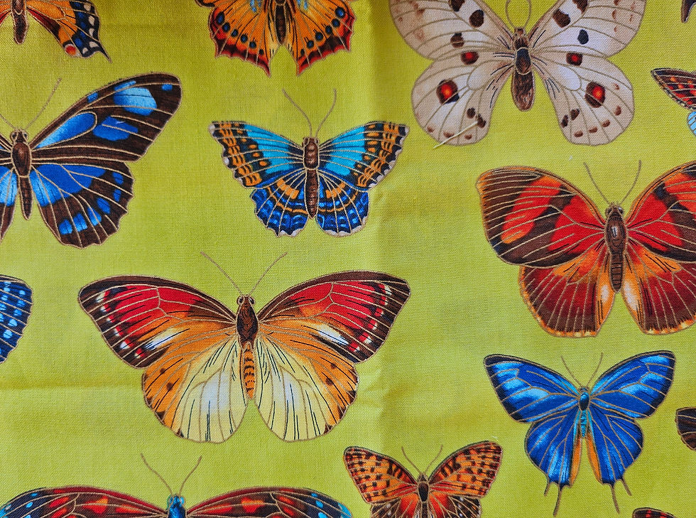Thumbnail: Coton patch les papillons 