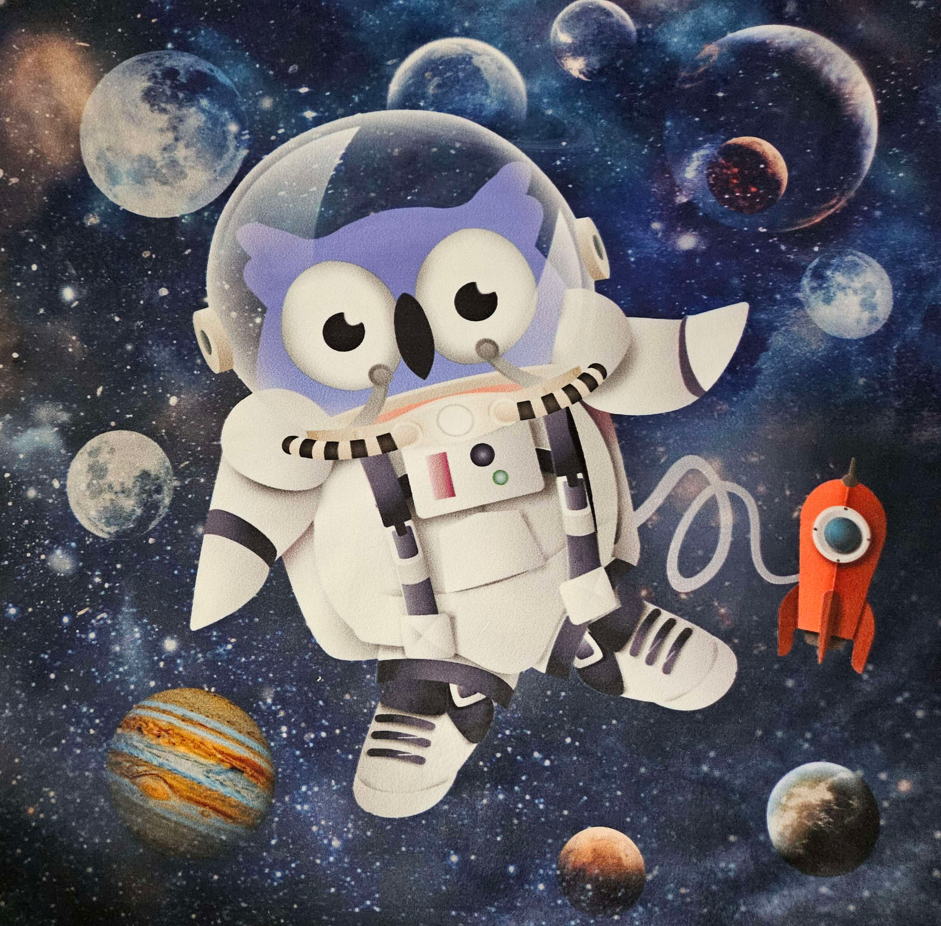 Carré velours chouette dans l espace