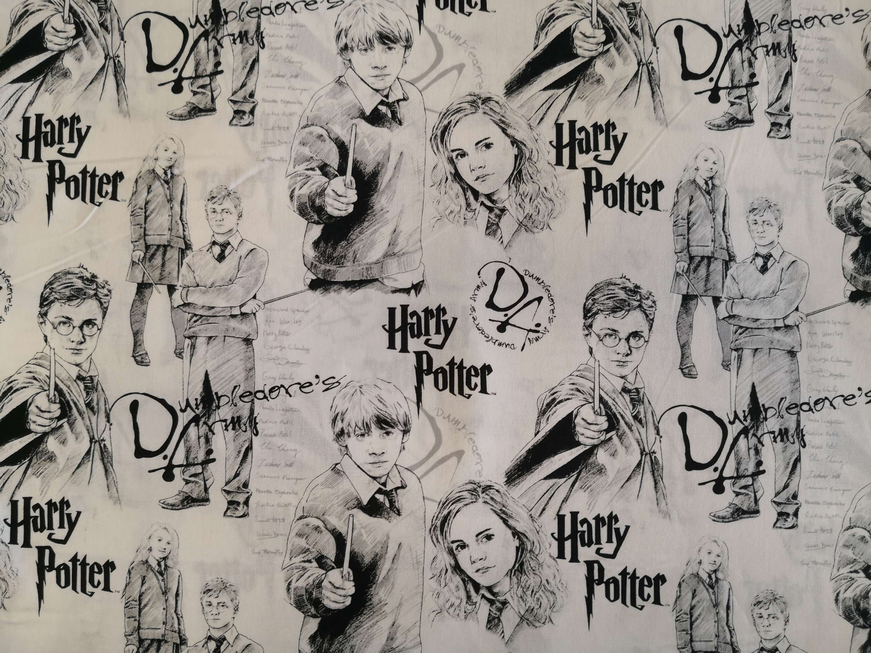 Personnages Harry Potter noir et blanc