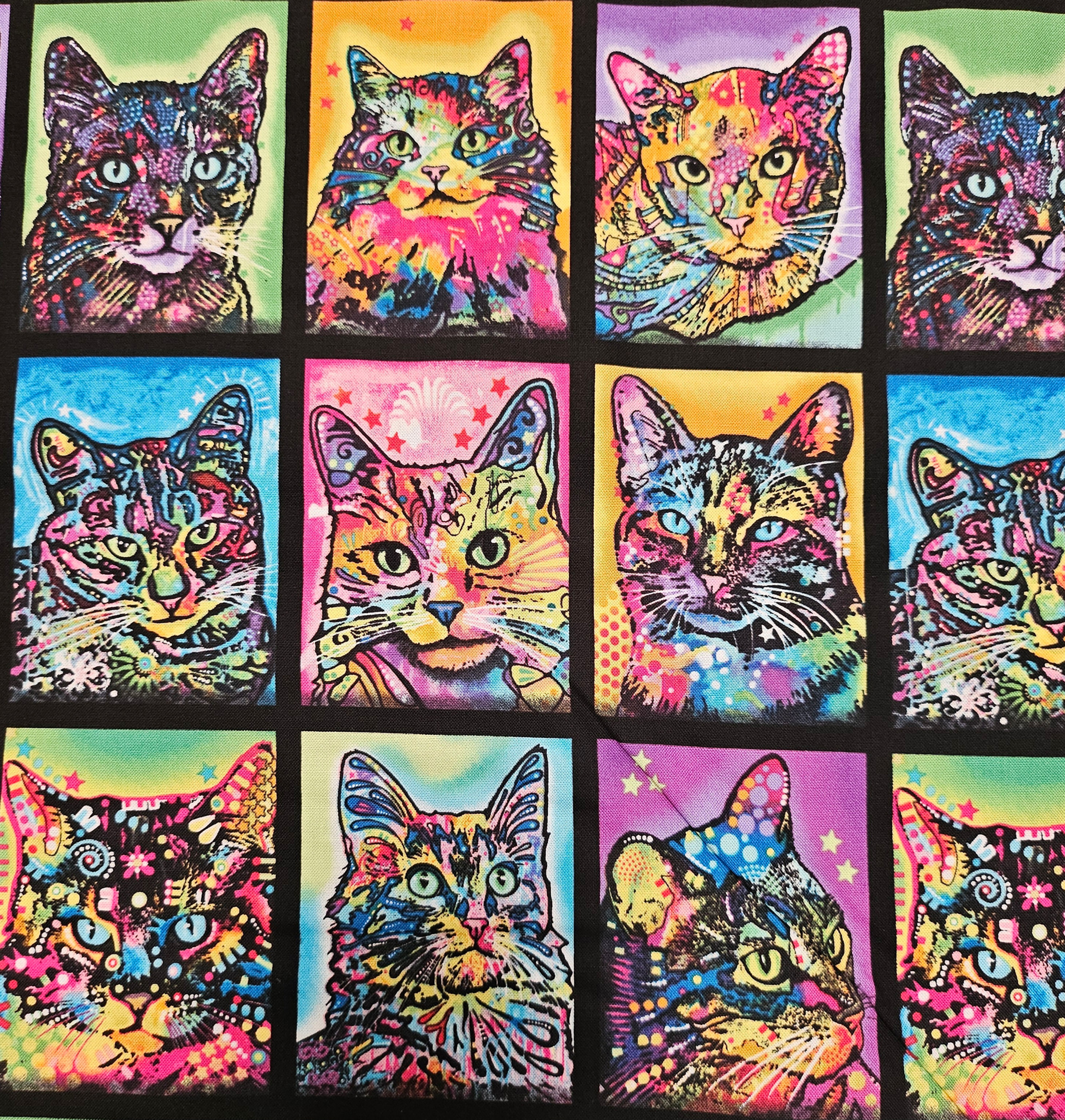 Coton patch chats multicolores